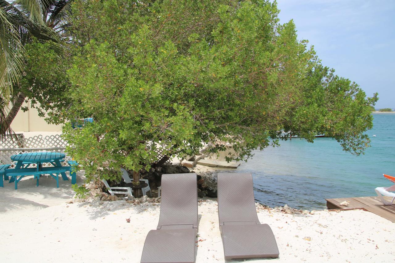 Coral Reef Beach Savaneta エクステリア 写真